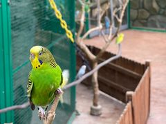 -杭州开元森泊度假乐园