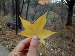 -香山公园-东宫门售票处