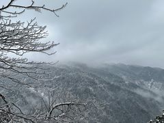 -瓦屋山景区