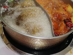 鸳鸯锅底-菌子鲜汤野生菌锅