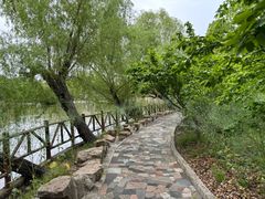 -南汇桃花村