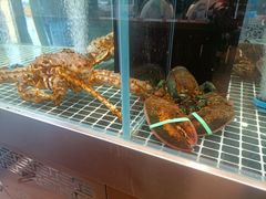 -喜来酌海鲜·饺子(和平一店)