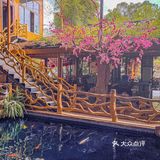 青城山美食打卡｜不能错过的平价老店❗️