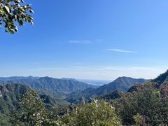 -大岭沟猕猴桃谷风景区