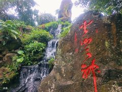 -海口火山口国家地质公园