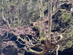 -藏龙百瀑风景区