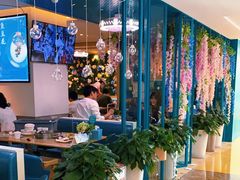-青瓷火锅料理(西单大悦城店)