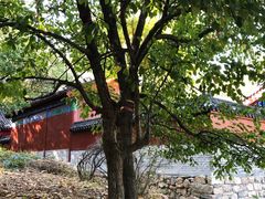 -沂蒙山旅游区云蒙景区(蒙山国家森林公园)