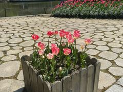 -杭州师范大学(下沙校区)