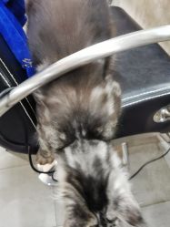 -名品美发