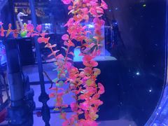 -海合安青岛极地海洋公园