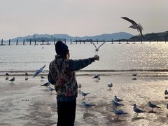 -青岛海滨风景区