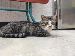 -玉椰林甜品店(创始店)