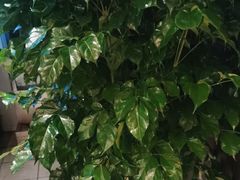 -竹雨堂创意中国菜(裕华店)