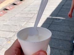 -洪馨椰子
