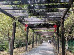 -九龙潭景区