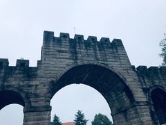 -铁山坪森林公园