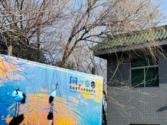 -盐城丹顶鹤湿地生态旅游区