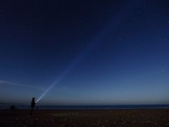 -马学武手抓美食(下南关总店)