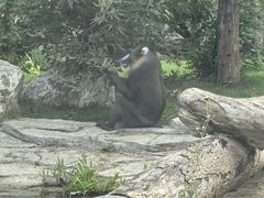 -武汉动物园