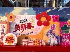 -荷兰花海