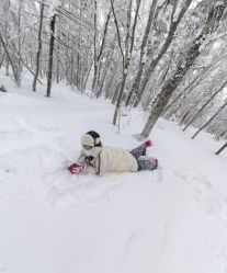 -大秃顶子山