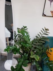 -Doris多里斯半永久纹眉·SMP纹发·发际线