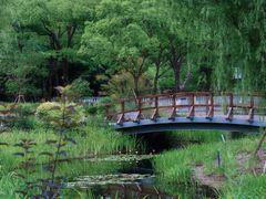 -上海植物园-4号门售票处