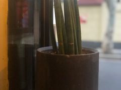 -Apollo·西班牙小酒馆(安福路店)