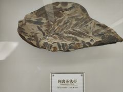 -辽宁古生物博物馆