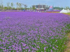 -帽儿山国家森林公园