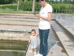 -郑东新区龙湖公共艺术中心