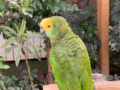 -南宫五洲植物乐园