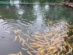 -本溪水洞