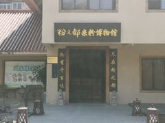 -金花茶公园