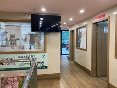 -爱侣·安琦尔宠物医院·中兽医针灸·心内科·狂犬免疫点(宝山区院)