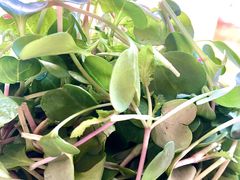 -1369冰火锅(木北路店)