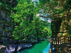 -祁门牯牛降观音堂风景区
