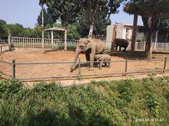 -石家庄市动物园