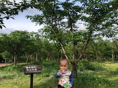 -天花井景区