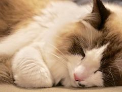 二货-咖法森林·咖啡  酒吧(天河店)