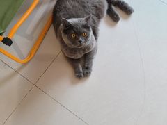 -平行世界·猫咖(首经贸店)
