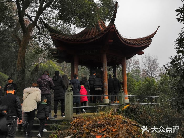 超山青蓮寺-圖片-杭州景點/周邊遊-大眾點評網