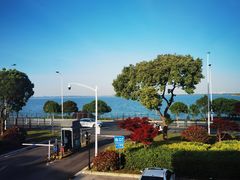 -蟹天蟹地农家菜·阳澄湖大闸蟹(浅水湾店)
