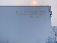 -Blue Concept Cafe&Farm·關於藍