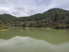 -广州白江湖森林公园