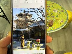 -宫事颐庭·老佛爷贵寿下午茶(颐和园店)