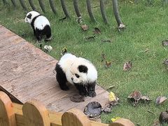 -茅山东方盐湖城景区
