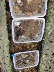 -钓虾工场·钓虾·赶海(回龙观店)