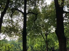 -东湖落雁景区